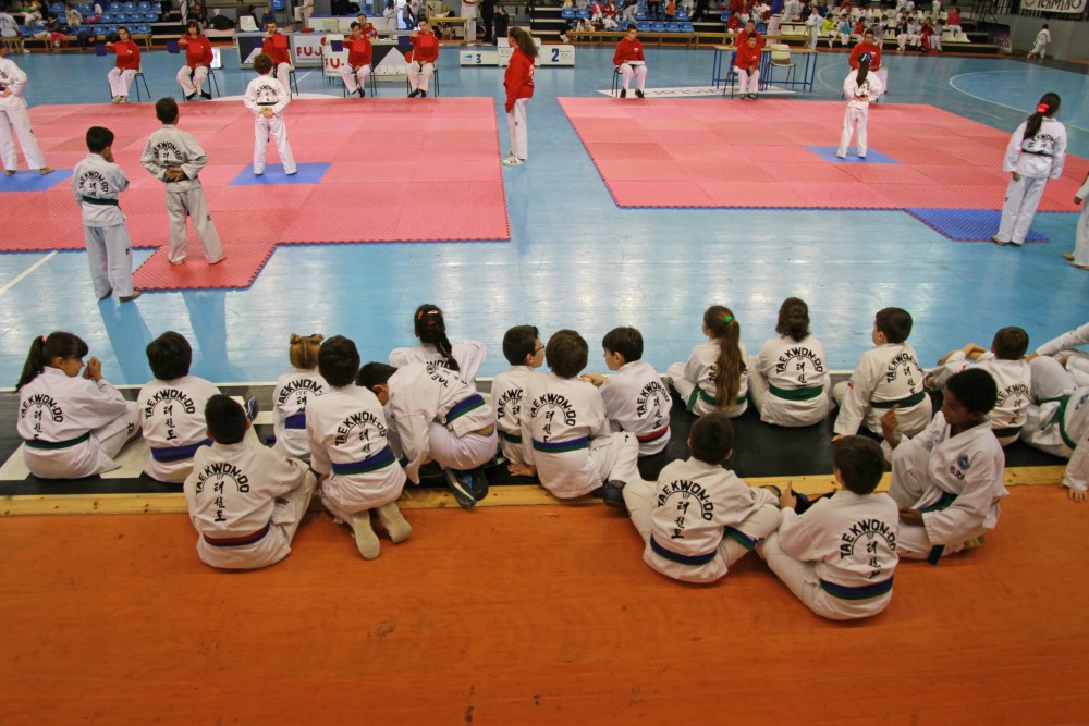Taekwondo Dic 2016 (168).jpg
